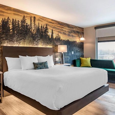 Cambria Hotel Shelby Township - Detroit Utica Shelby Twp Dış mekan fotoğraf