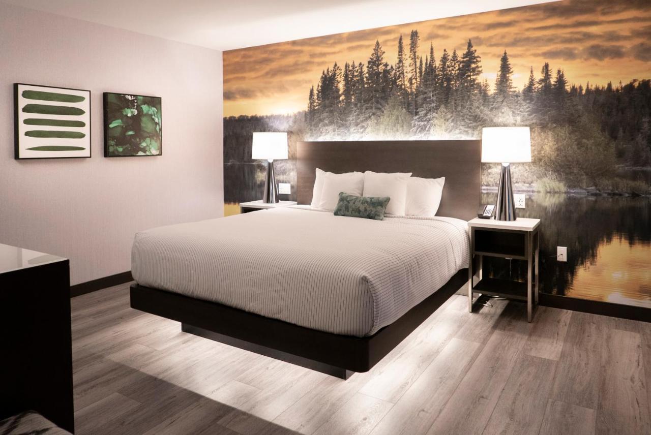 Cambria Hotel Shelby Township - Detroit Utica Shelby Twp Dış mekan fotoğraf