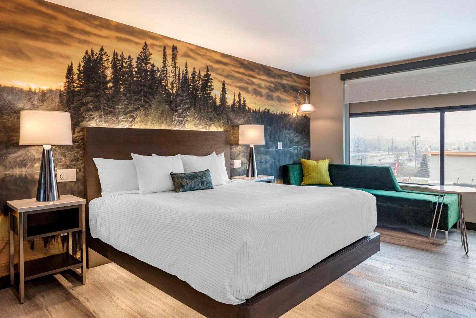Cambria Hotel Shelby Township - Detroit Utica Shelby Twp Dış mekan fotoğraf