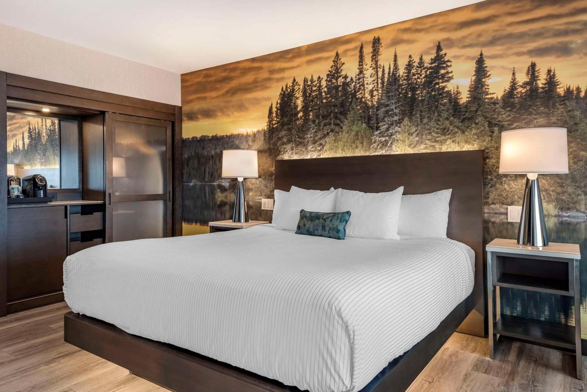 Cambria Hotel Shelby Township - Detroit Utica Shelby Twp Dış mekan fotoğraf